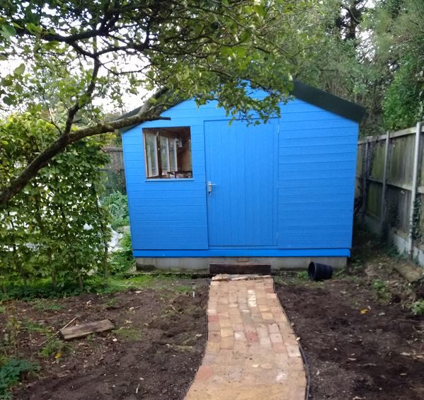 blue shed in the yard